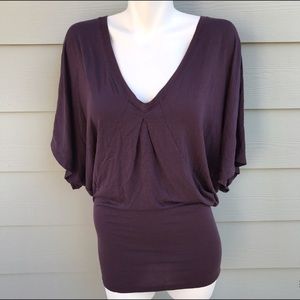 Aritzia Wilfred Oversized Batwing Blouse